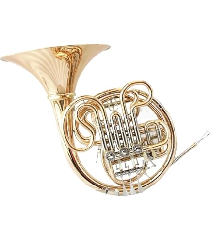 Amazon | PLAYTECH (プレイテック) フレンチホルン ミドルクラス